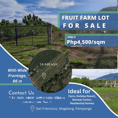 lot for sale pampanga